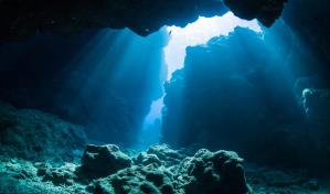 Descubren que unas bacterias marinas hunden el carbono en fondos oceánicos