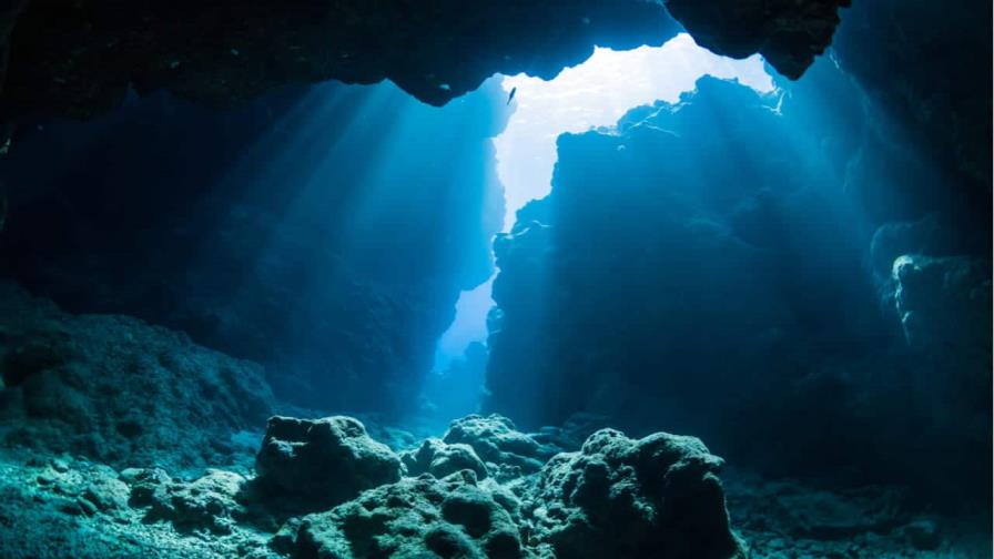 Descubren que unas bacterias marinas hunden el carbono en fondos oceánicos