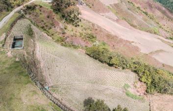 Ambientalistas critican manejo dado por las autoridades a Valle Nuevo