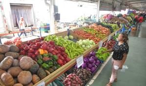 Precios de productos agrícolas subieron 2.8 % en septiembre