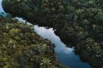 Latinoamérica y el Caribe formalizan una red para la medición de sus bosques