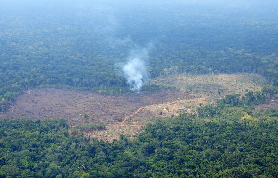 Crisis climática y deforestación amenazan áreas naturales claves de Colombia