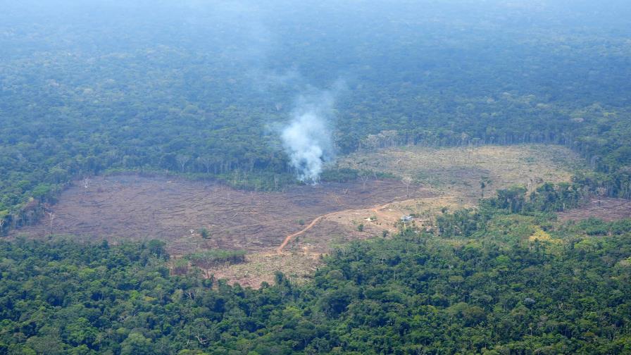 Crisis climática y deforestación amenazan áreas naturales claves de Colombia