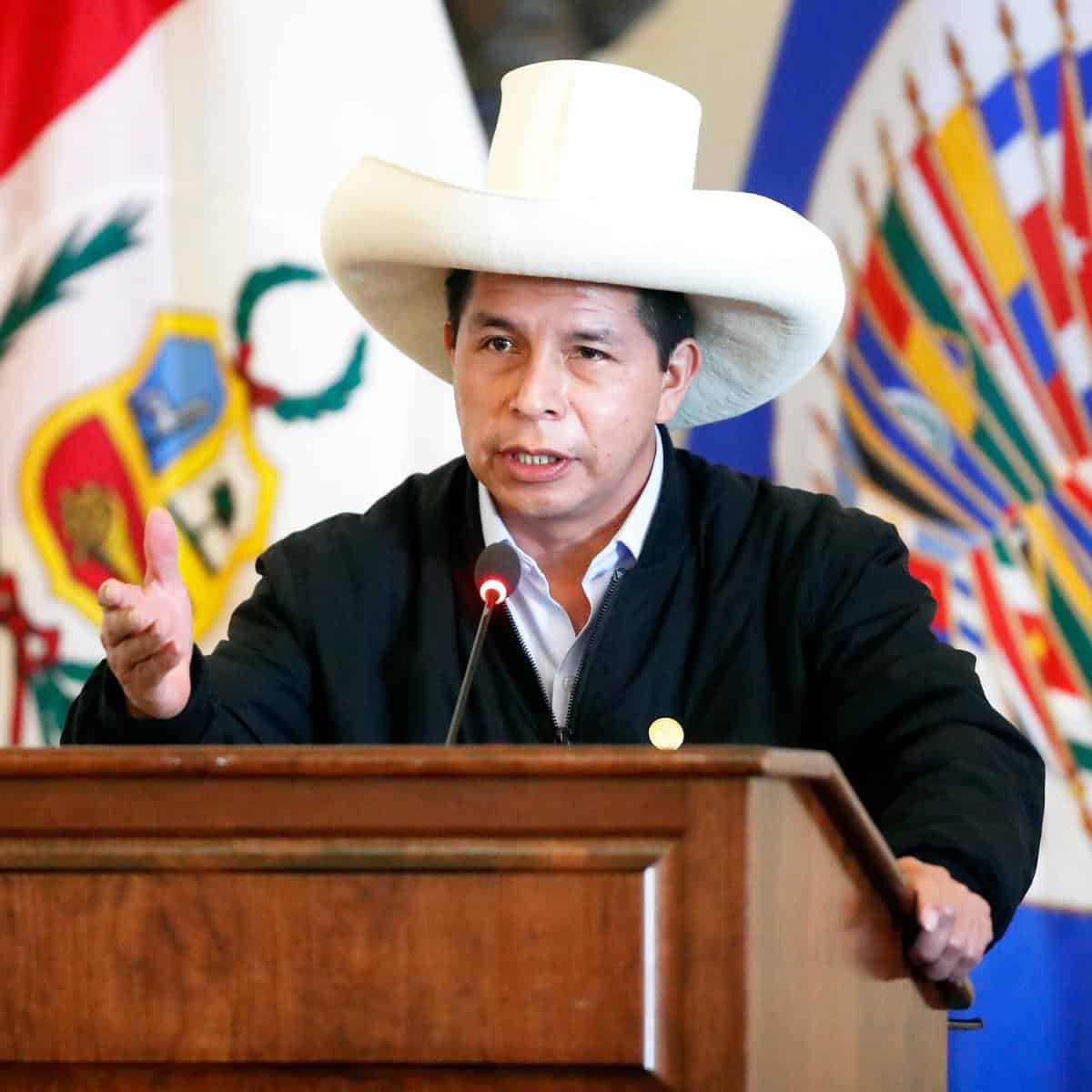 Congreso peruano alerta a la OEA que Pedro Castillo desinforma a países miembros