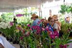 Regresa el Festival Nacional de Plantas y Flores Regresa el Festival Nacional de Plantas y Flores