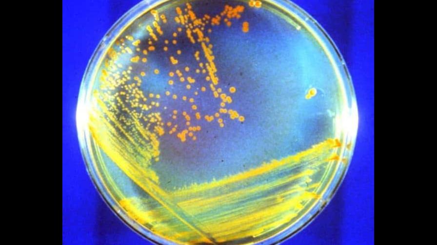 Antiguas bacterias de Marte podrían estar latentes en las capas profundas