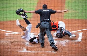 Ganaron en Venezuela Leones, Tiburones, Cardenales y Caribe