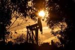 El petróleo de Texas abre con una bajada del 1 %, hasta US$79.28 El petróleo de Texas abre con una bajada del 1 %, hasta US$79.28