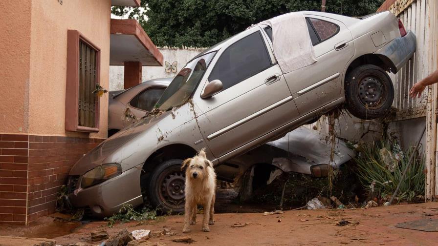 Más de 100 vehículos dañados por inundaciones en zonas cercanas a Caracas Más de 100 vehículos dañados por inundaciones en zonas cercanas a Caracas