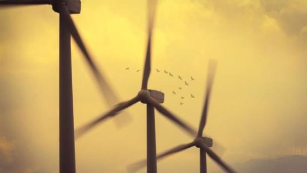 La guerra de Ucrania ha acelerado la transición a las energías renovables