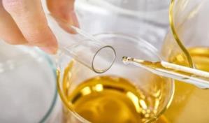 Exportaciones de RD hacia Jamaica aumentan un 39 % en 2021