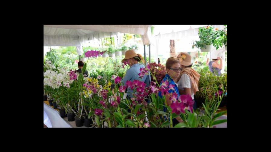 Las opciones en la agenda para el fin de semana