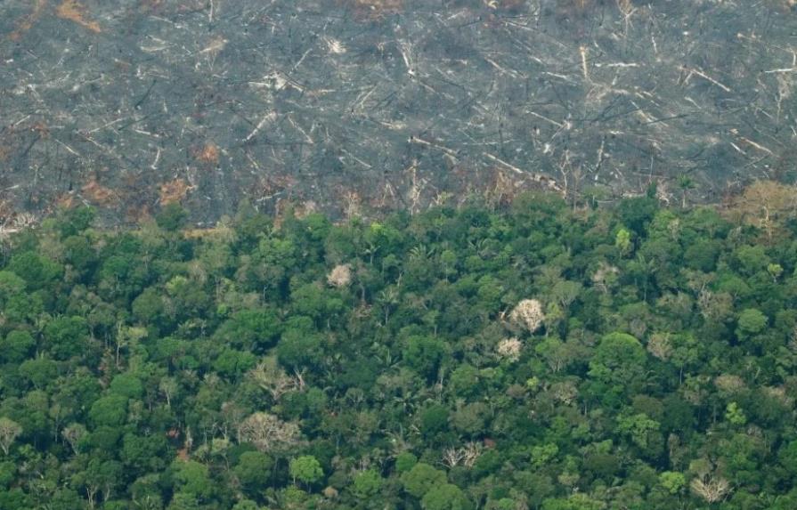 La deforestación en la Amazonía brasileña bate un nuevo récord 
