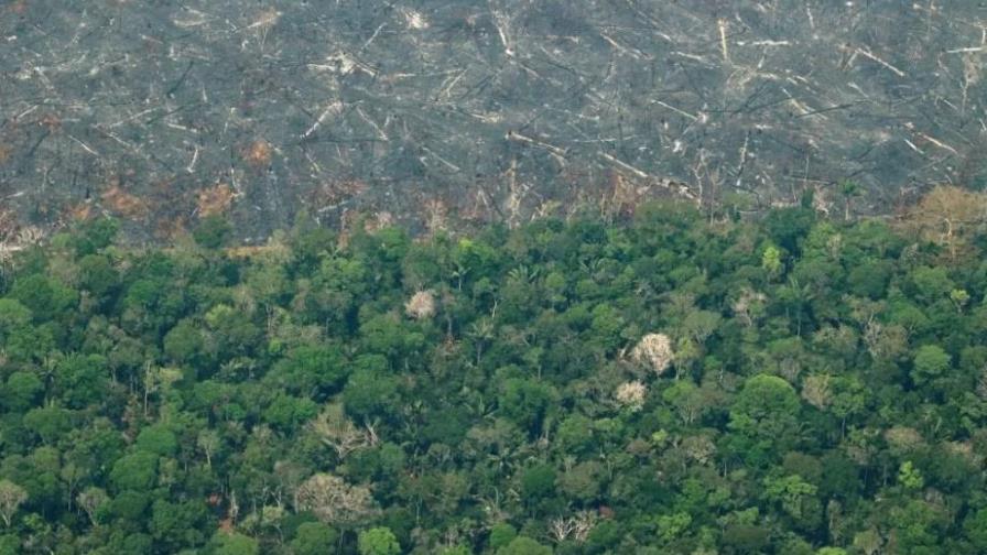 La deforestación en la Amazonía brasileña bate un nuevo récord 