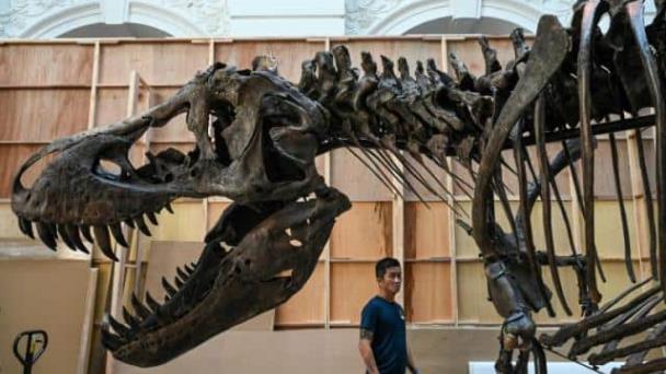 El primer fósil de tiranosaurio a subasta en Asia se presenta en Singapur