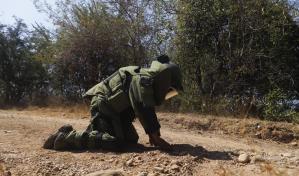 México decomisa droga con valor de U$ 30 millones en frontera con EEUU