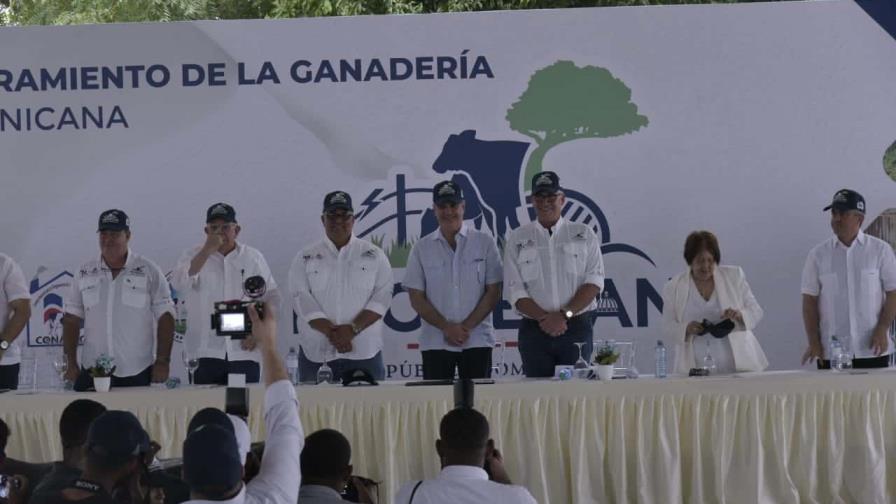 Presidencia destina RD$700 millones para aumentar la productividad de la ganadería