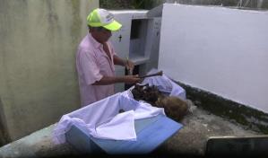 Limpiar los huesos de los difuntos, una tradici&oacute;n en el D&iacute;a de Muertos