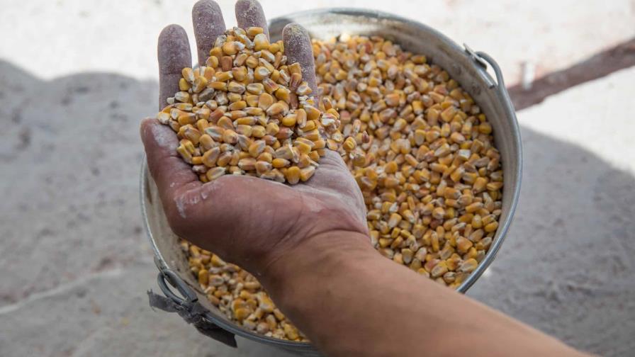 EE.UU. insta a Rusia a retomar el acuerdo de exportación de cereal ucraniano EE.UU. insta a Rusia a retomar el acuerdo de exportación de cereal ucraniano