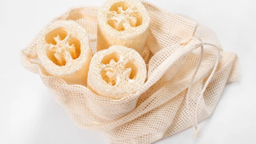¿Conoces los beneficios de la esponja de luffa? ¿Conoces los beneficios de la esponja de luffa?