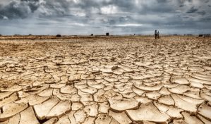 Científico destaca a los agricultores como solución al cambio climático