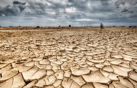 Científico destaca a los agricultores como solución al cambio climático