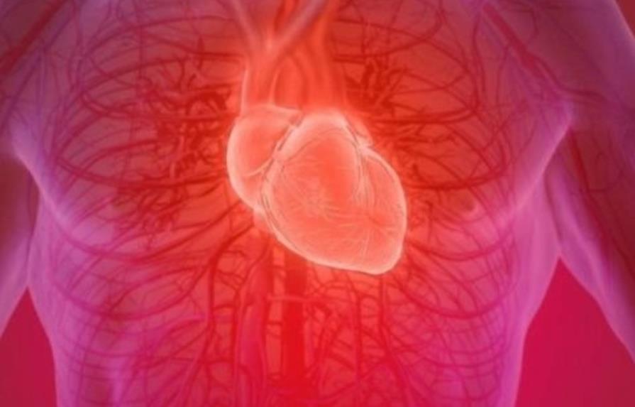 Descubren un factor clave que protege al corazón tras un infarto