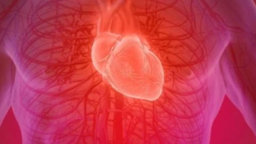 Descubren un factor clave que protege al corazón tras un infarto