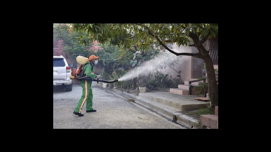 La capital y seis provincias concentran el 63 % de los casos de dengue La capital y seis provincias concentran el 63 % de los casos de dengue