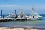 Son 20 lanchas las que estarán en el torneo de pesca al Marlin Azul Son 20 lanchas las que estarán en el torneo de pesca al Marlin Azul