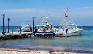 Son 20 lanchas las que estarán en el torneo de pesca al Marlin Azul