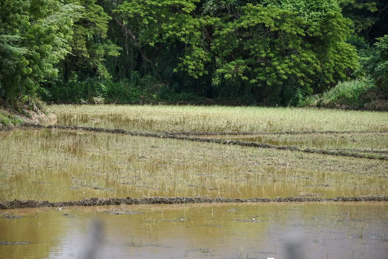 Las localidades más golpeadas en Montecristi son Martín García y El Pósito Guayubín.