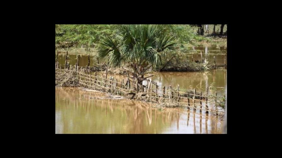 Crecidas de ríos por rotura de muro en Santiago Rodríguez afectó la agropecuaria en Montecristi Crecidas de ríos por rotura de muro en Santiago Rodríguez afectó la agropecuaria en Montecristi