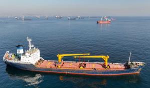 Dieciocho buques con grano ucraniano esperan a ser inspeccionados en Turquía