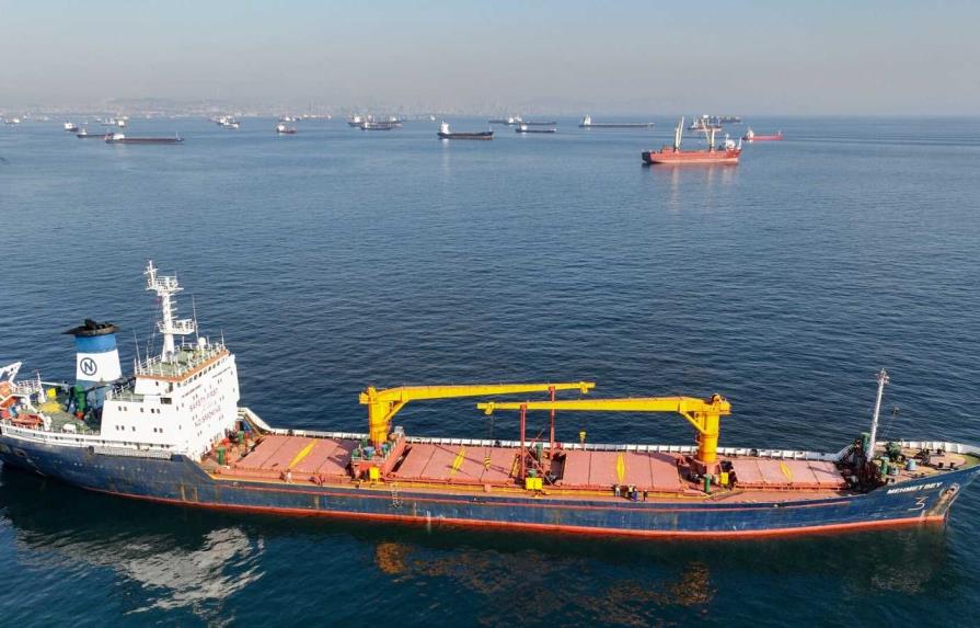 Dieciocho buques con grano ucraniano esperan a ser inspeccionados en Turquía