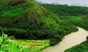 Ancianos, mujeres y niños entre mineros que huyen de reserva yanomami