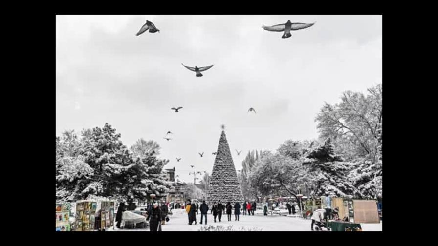 La región de Kiev prohíbe la colocación de luces navideñas para ahorrar electricidad La región de Kiev prohíbe la colocación de luces navideñas para ahorrar electricidad