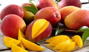 Exportaciones agropecuarias superan los 705 millones de dólares