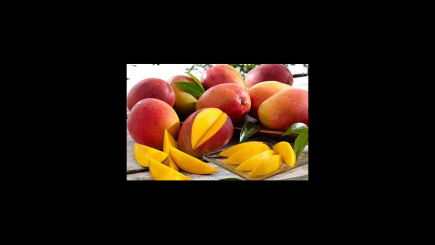Exportaciones agropecuarias superan los 705 millones de dólares