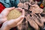 ONU: inseguridad alimentaria afecta a más de 10 millones de latinoamericanos