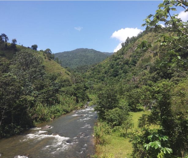 Academia de Ciencias: se necesita nueva licencia ambiental para el Proyecto Hidroeléctrico Las Placetas