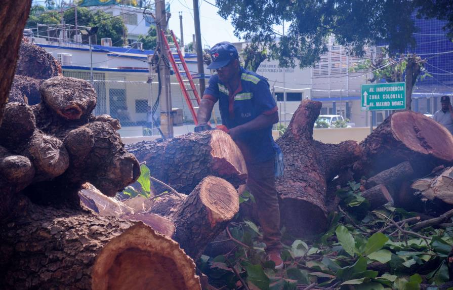 ¿Qué provocó la caída de árbol que mató un hombre en la Zona Universitaria?