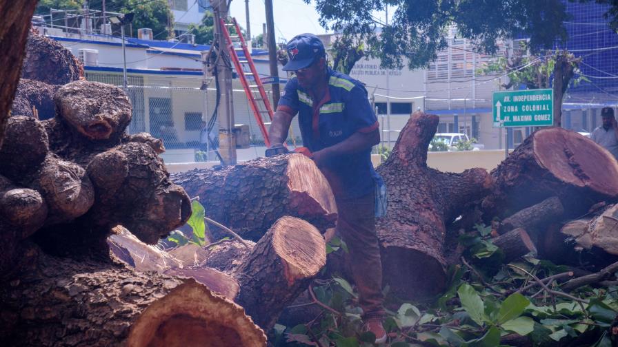 ¿Qué provocó la caída de árbol que mató un hombre en la Zona Universitaria?