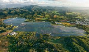 EGE Haina plantea usar ovejos para mantener plantas fotovoltaicas