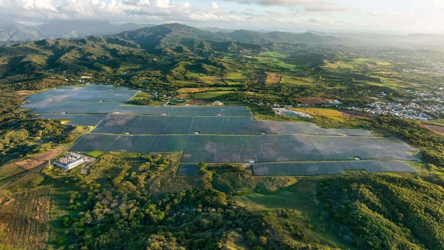 EGE Haina plantea usar ovejos para mantener plantas fotovoltaicas