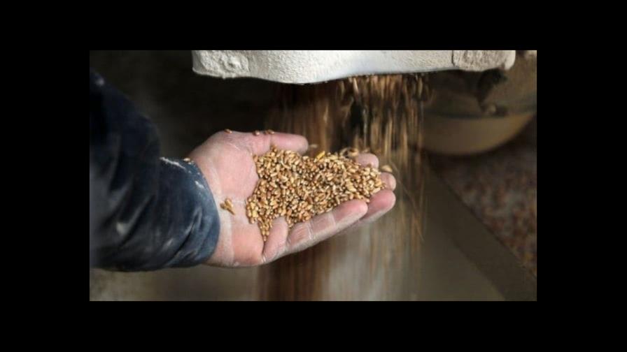 Rusia dice que recibió garantías de ONU antes de prolongar acuerdo de grano