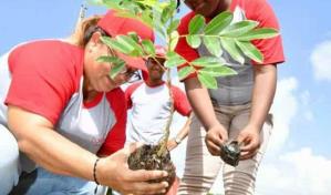 Domicem reafirma compromiso con el medio ambiente y realiza jornada de reforestaci&oacute;n