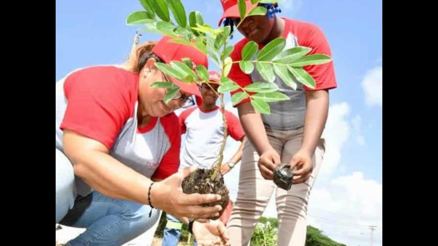 Domicem reafirma compromiso con el medio ambiente y realiza jornada de reforestación