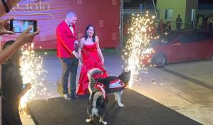 Lorenny Solano presenta novedoso proyecto Hogar de Animales Ciudad de Ángeles