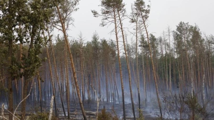 Minería y madera amenazan a los bosques como la expansión agrícola extracción de madera